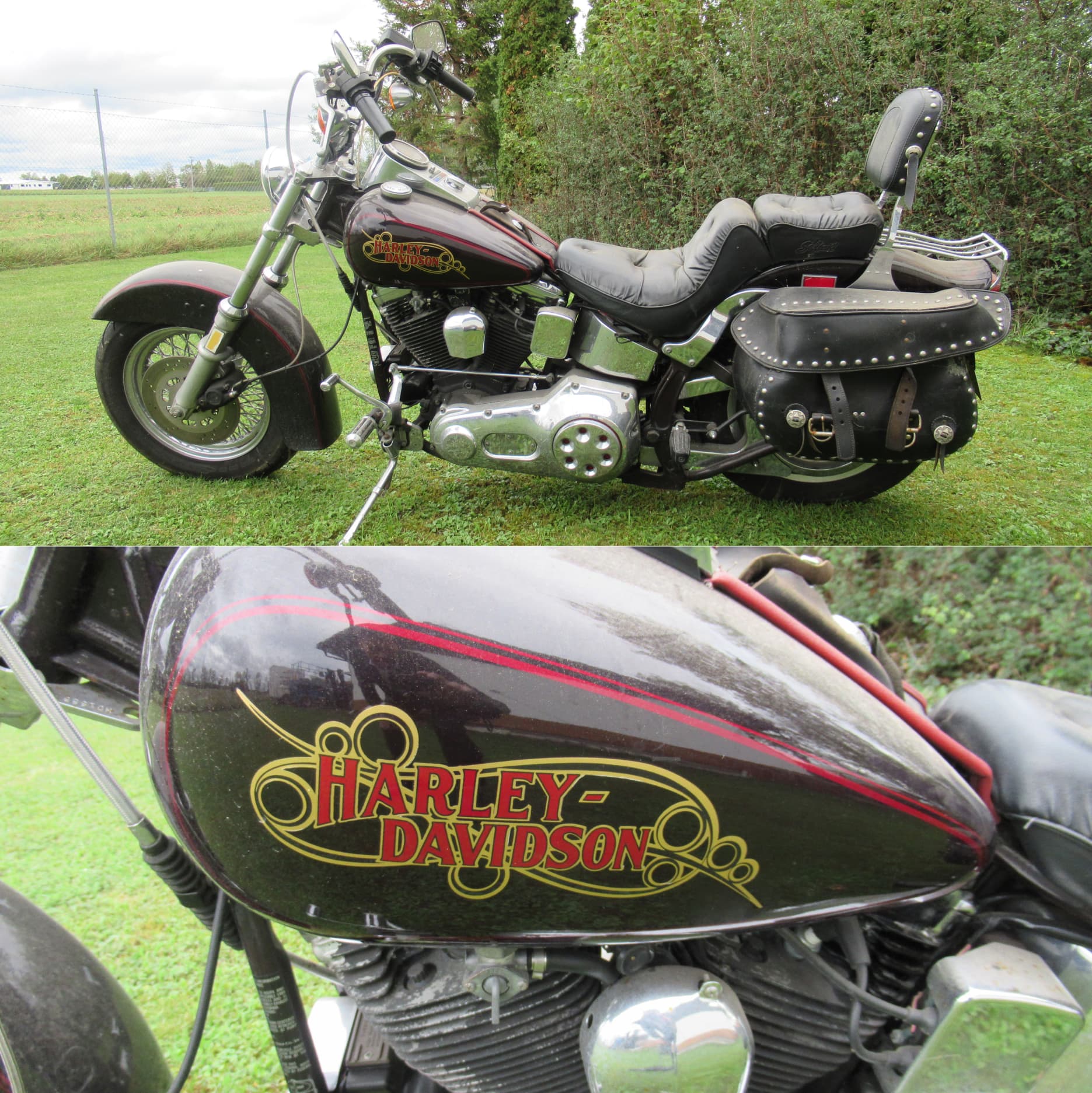 Motorrad Harley-Davidson FXSTC Softail Custom