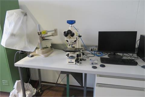 Mikroskop Zeiss Axioplan