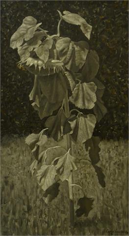 Stanislav Gedzevych „Sonnenblume Nr. 1“